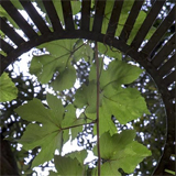 Clique na foto para ampliar