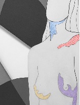 Clique na foto para ampliar