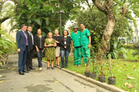 Clique na foto para ampliar