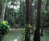 Clique na foto para ampliar