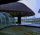 Clique na foto para ampliar