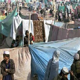 Clique na foto para ampliar