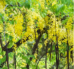 Clique na foto para ampliar