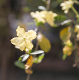 Clique na foto para ampliar